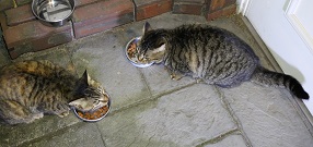 5DA_0244-20.jpg
