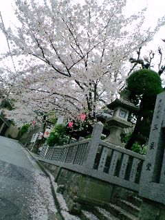 一宮神社