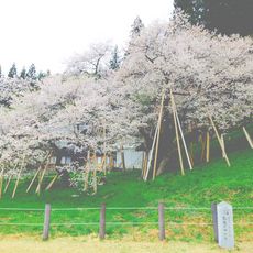 kako-pj6kevWx8ONaHJMc.jpg