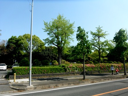 2012.05.05 幸公園.JPG