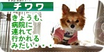 kyoumo banner.JPG
