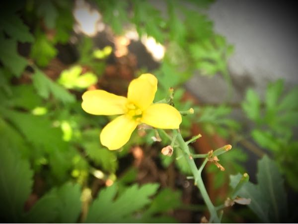 rblog-20160531203424-04.jpg
