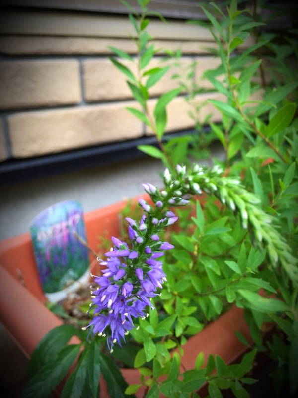 rblog-20150528193755-03.jpg
