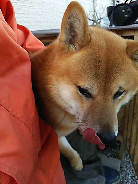 DSC_0834.JPG