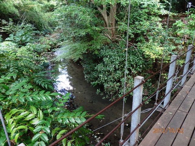 吊り橋　散歩道　PA020059.jpg