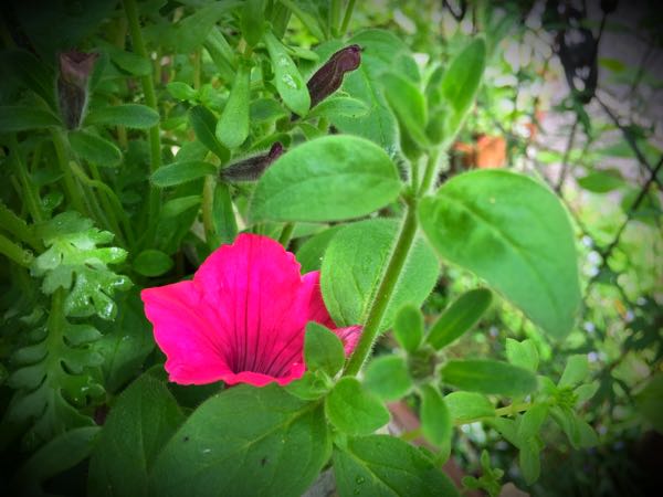 rblog-20160426005323-04.jpg