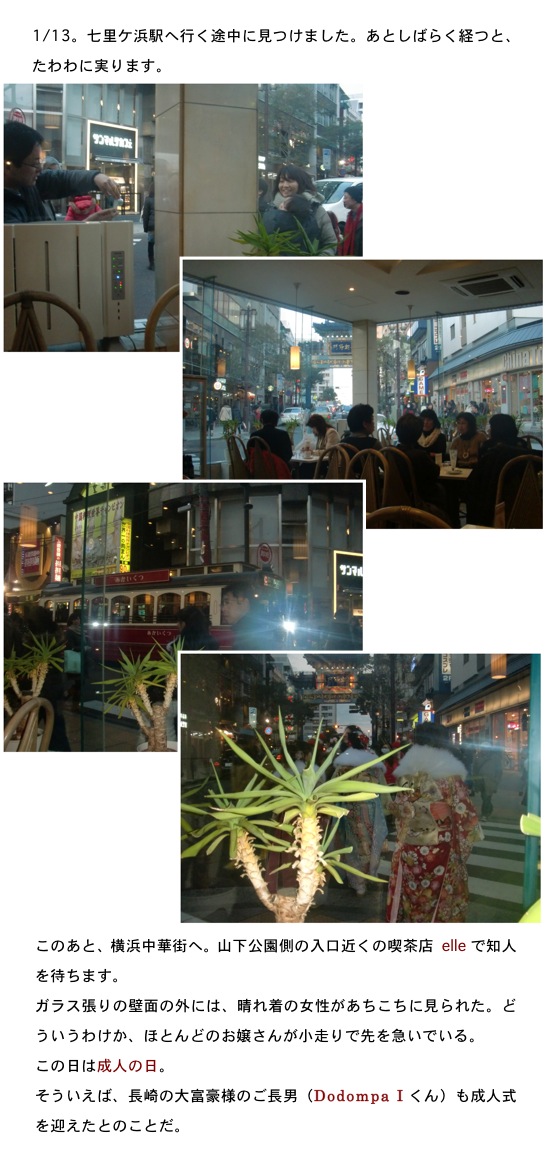 2014.01.17-3.jpg