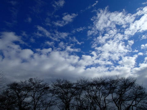 niwa131208004