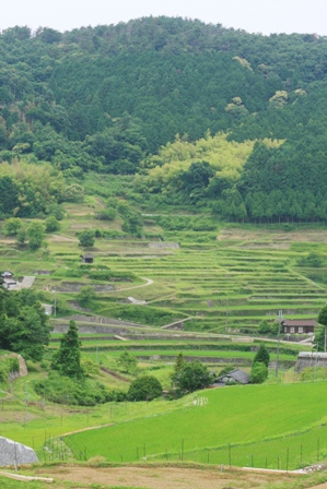 tanada4.JPG