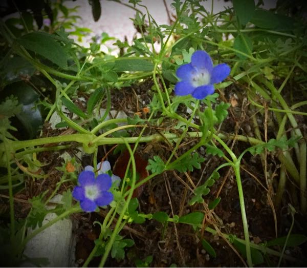 rblog-20160529204936-04.jpg