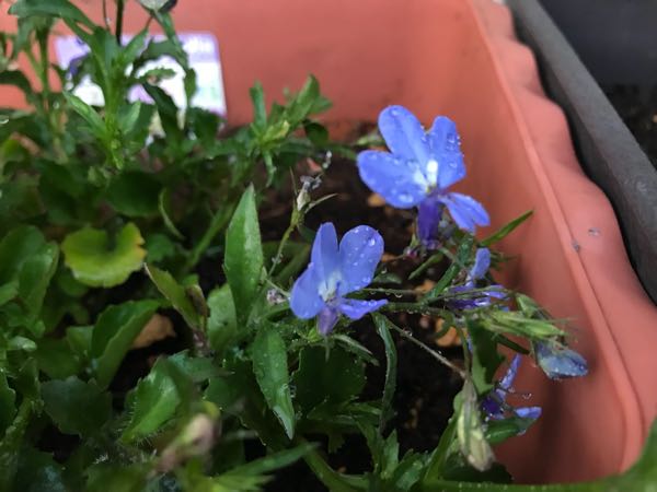 rblog-20180328191210-09.jpg