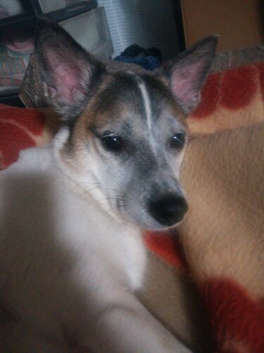 rblog-20140315113709-02.jpg