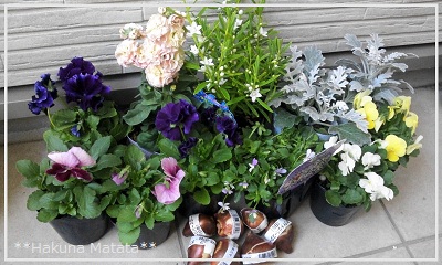 花買い１０．２４.jpg