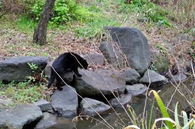 SC_8513.jpg