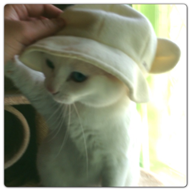 rblog-20130518112046-01.jpg