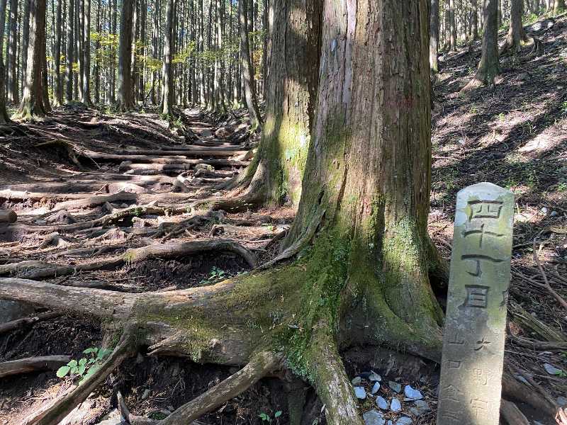 武甲山（ぶこうざん・1,304m）日本200名山（2） | 醍醐山と下部（しもべ）温泉 - 楽天ブログ