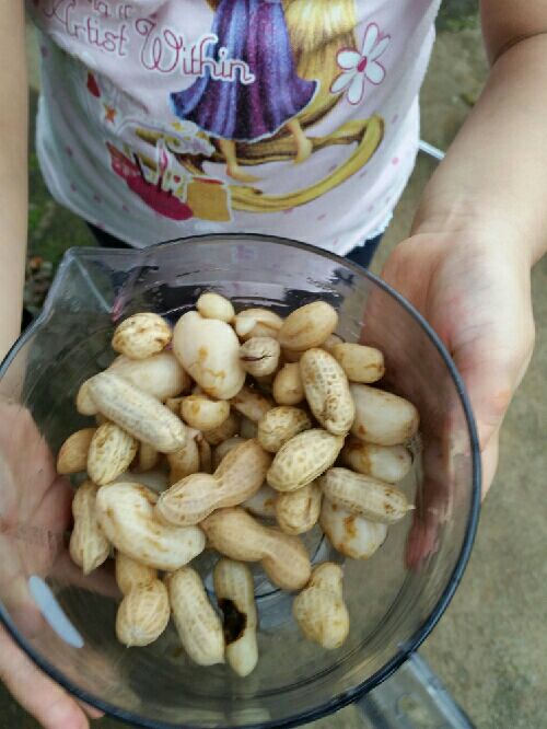 rblog-20150906211120-03.jpg