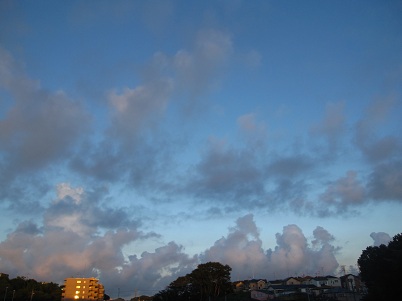 IMG_9739.JPG