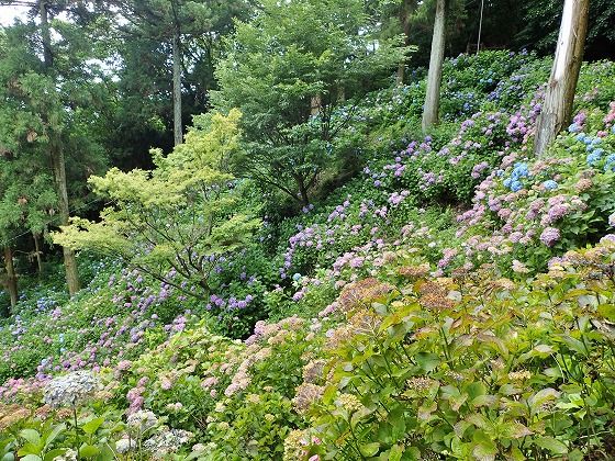 秋葉公園と秋葉神社 しら S Cafe 楽天ブログ