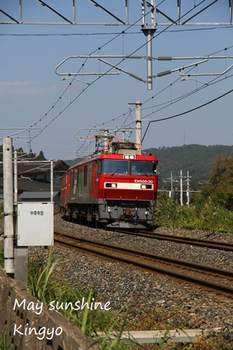 c117.JPG