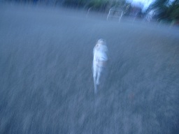 IMG_9759.JPG