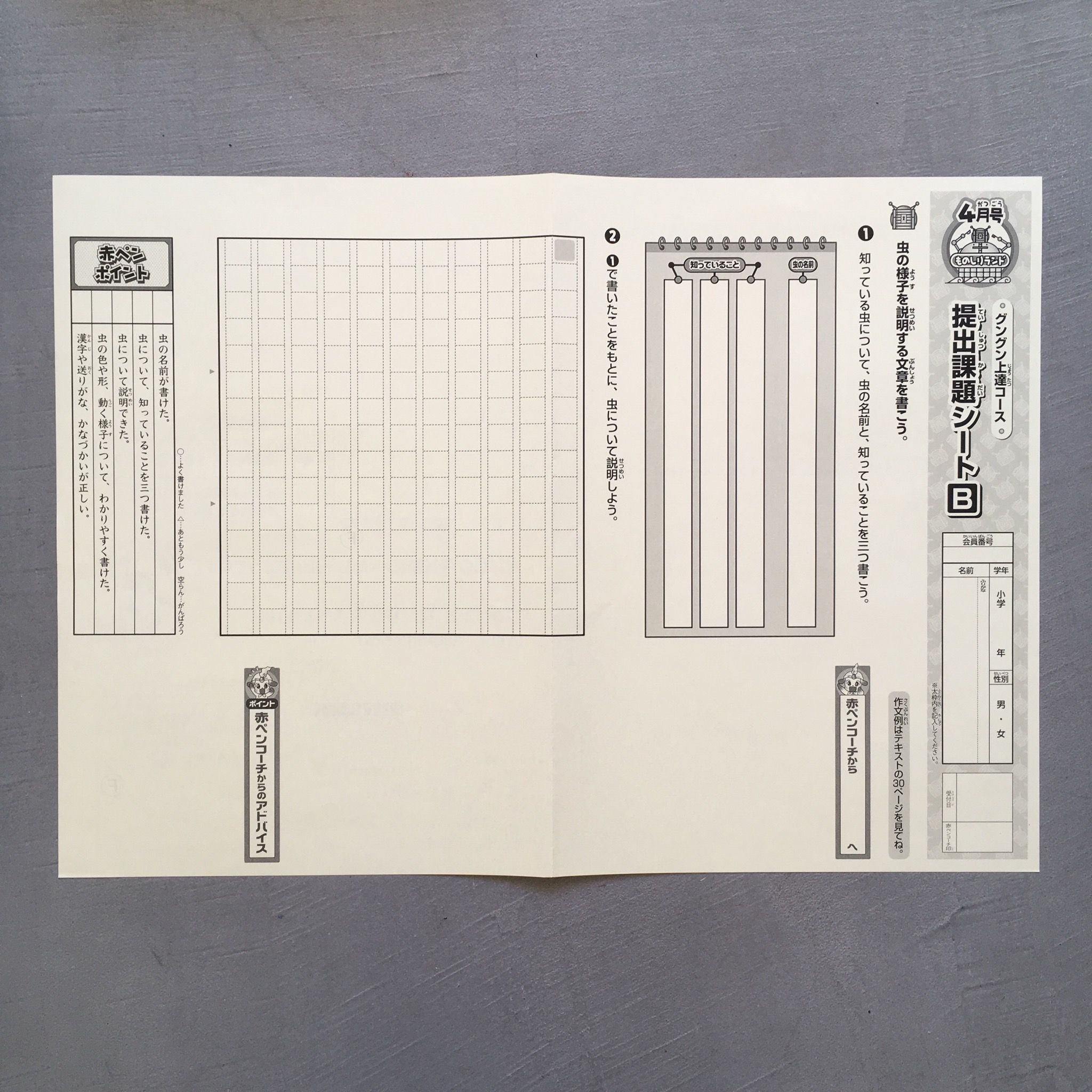 未開封】ブンブンどりむ グングン上達コース（小3対象） 2019年度 9か 