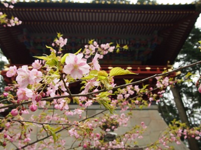 P3034176.JPG
