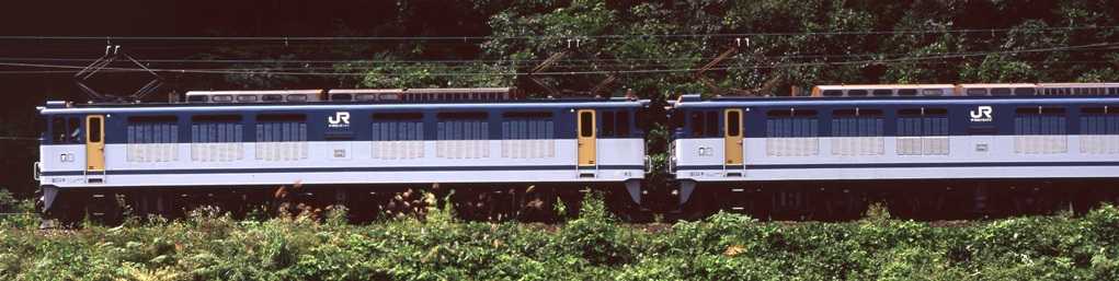 翌檜　「お暇便り」