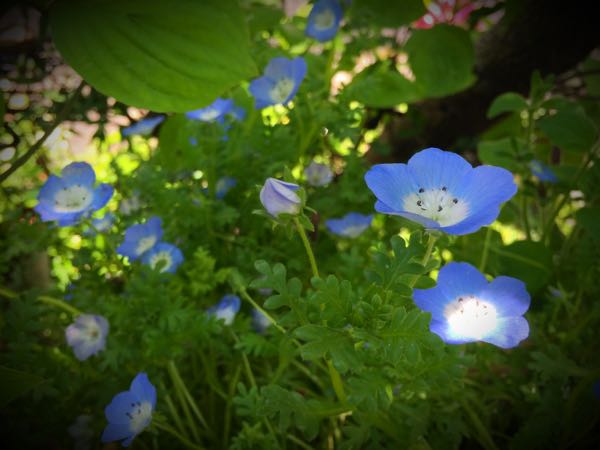 rblog-20160430165450-05.jpg