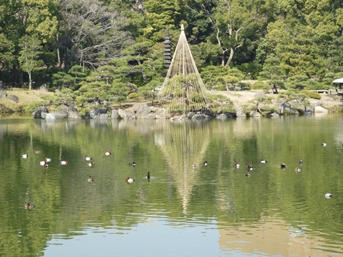 清澄庭園にて