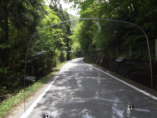 ワイルド道.jpg