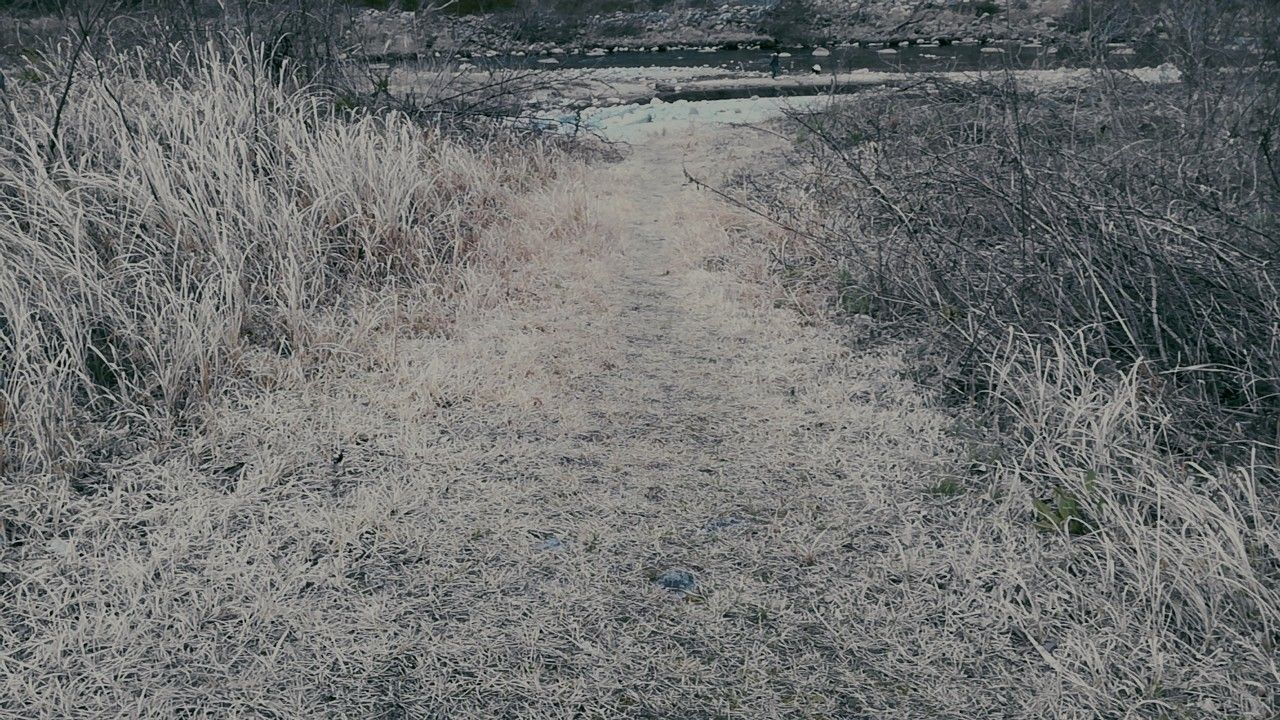 無料きゃんぷ場 矢作川島崎公園 に行ってきた キャンプと家庭菜園と僕 楽天ブログ