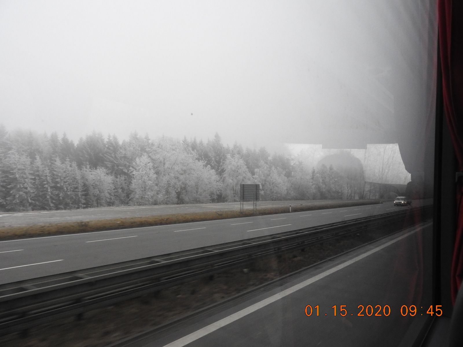 血縁係数 ヘイフリック限界パート3 楽天ブログ