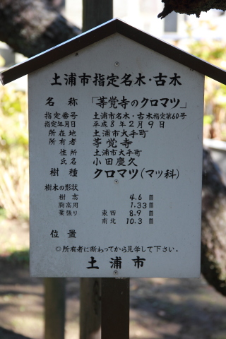 IMG_2287ブログ.JPG