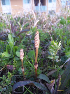 DVC00020.JPG