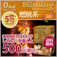item_ht_burn_t500.jpg