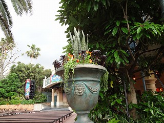 DSC01349.jpg