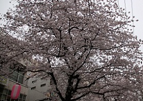 IMG_8121-2.jpg