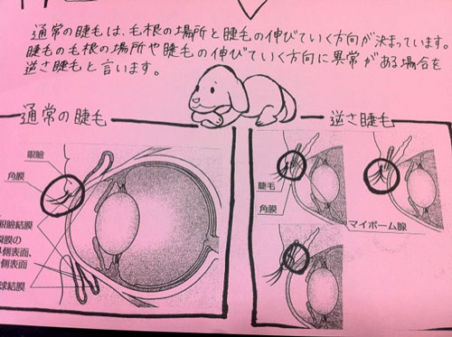 2012.9.14みすずa