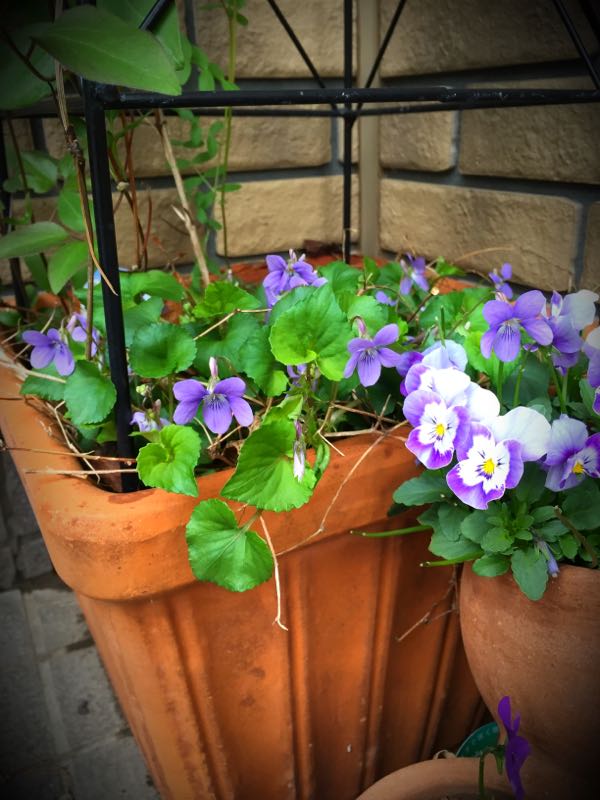 rblog-20160328172826-01.jpg