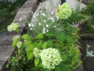 IMG_5447ss.jpg