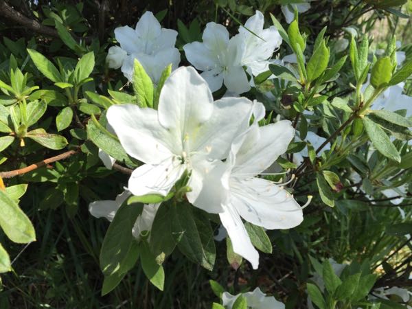 rblog-20180505160632-04.jpg