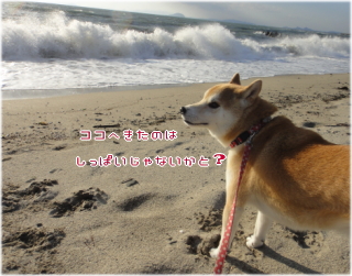 1023夕方1.jpg