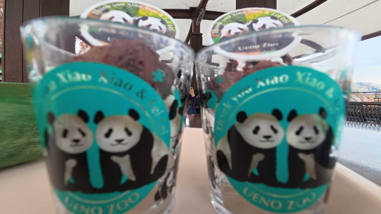 シャオシャオ レイレイ上野動物園限定品 タンブラー& あ】上野動物園