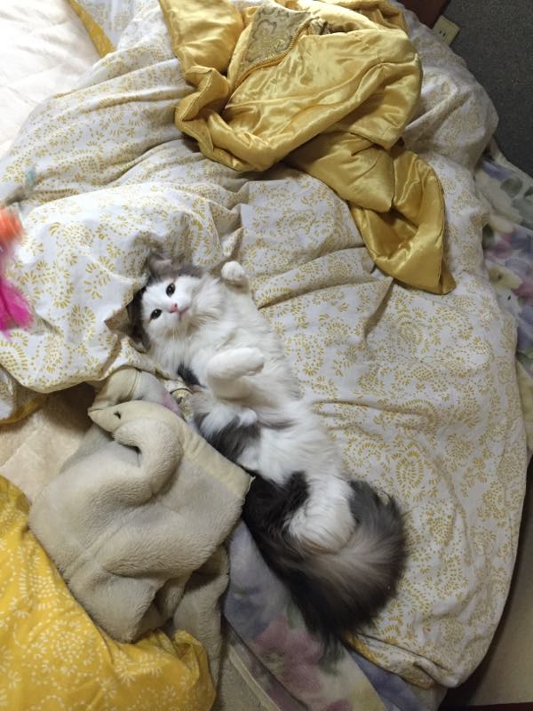 rblog-20160325092950-01.jpg