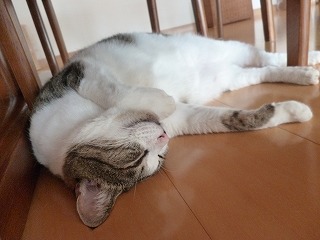 P1080191ss.jpg