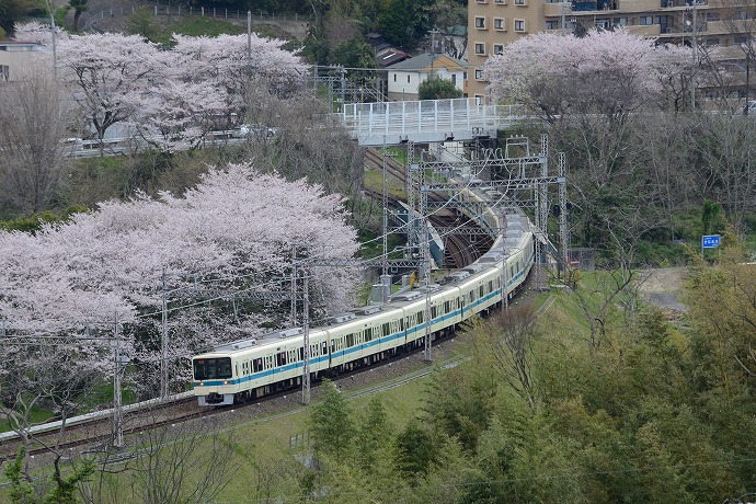 小田急線-03