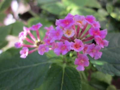 IMG_3492.JPG