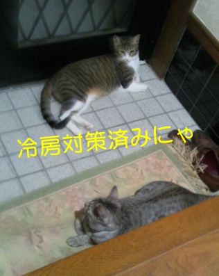 20120911_2.jpg