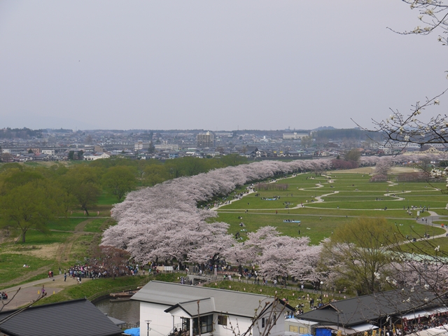 P1030498.JPG